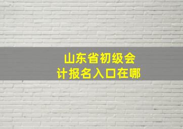 山东省初级会计报名入口在哪