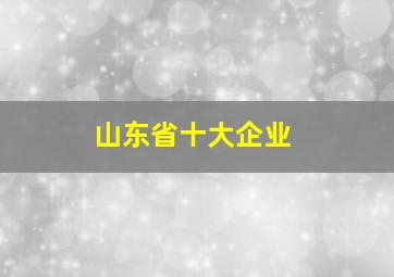 山东省十大企业