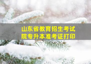 山东省教育招生考试院专升本准考证打印