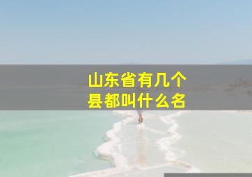 山东省有几个县都叫什么名