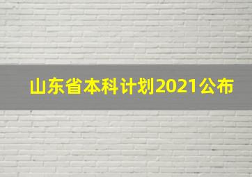 山东省本科计划2021公布