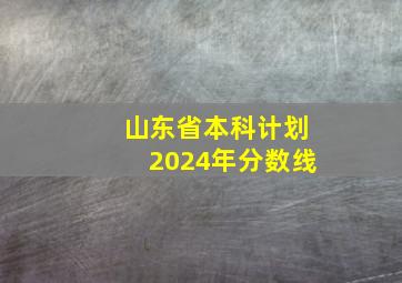 山东省本科计划2024年分数线