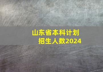 山东省本科计划招生人数2024