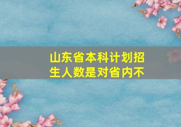 山东省本科计划招生人数是对省内不