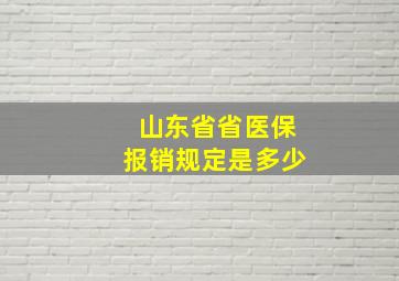 山东省省医保报销规定是多少