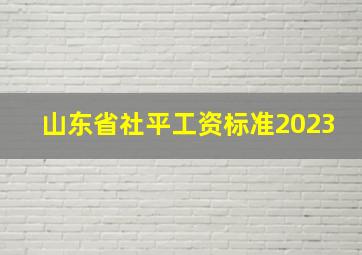 山东省社平工资标准2023