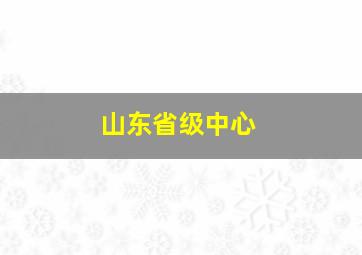 山东省级中心