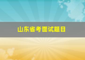 山东省考面试题目