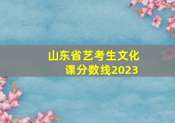 山东省艺考生文化课分数线2023