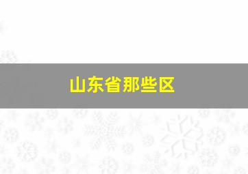 山东省那些区