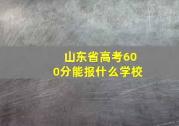 山东省高考600分能报什么学校