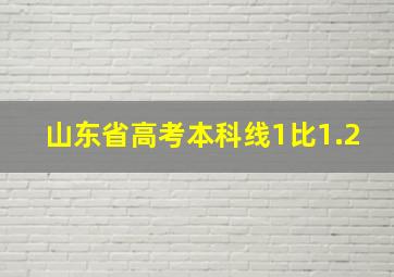 山东省高考本科线1比1.2