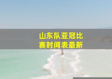 山东队亚冠比赛时间表最新