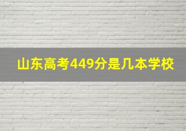 山东高考449分是几本学校