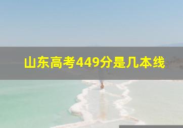 山东高考449分是几本线