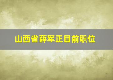 山西省薛军正目前职位