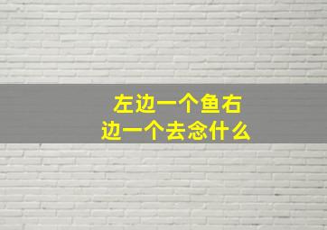 左边一个鱼右边一个去念什么