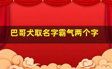 巴哥犬取名字霸气两个字