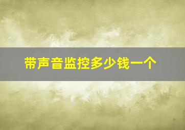 带声音监控多少钱一个