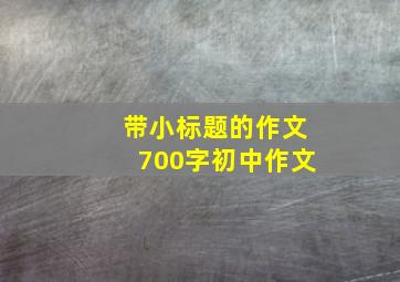 带小标题的作文700字初中作文