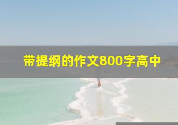 带提纲的作文800字高中