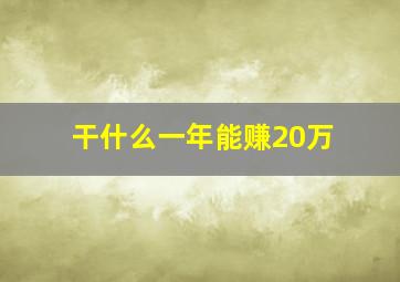 干什么一年能赚20万