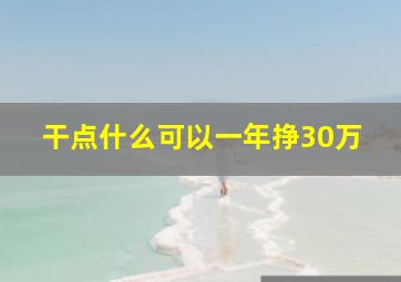 干点什么可以一年挣30万