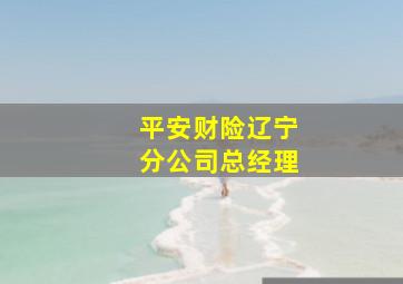 平安财险辽宁分公司总经理