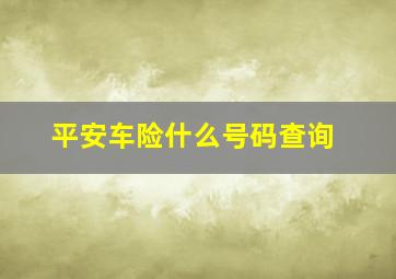 平安车险什么号码查询