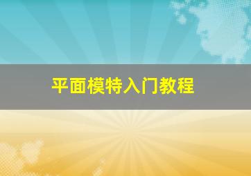 平面模特入门教程