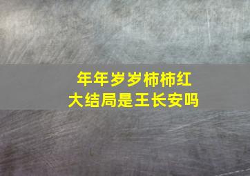 年年岁岁柿柿红大结局是王长安吗