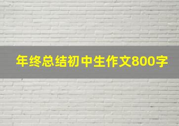 年终总结初中生作文800字