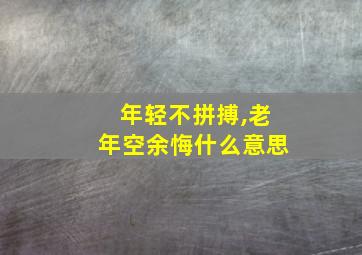 年轻不拼搏,老年空余悔什么意思