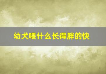 幼犬喂什么长得胖的快