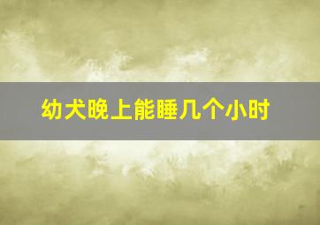 幼犬晚上能睡几个小时