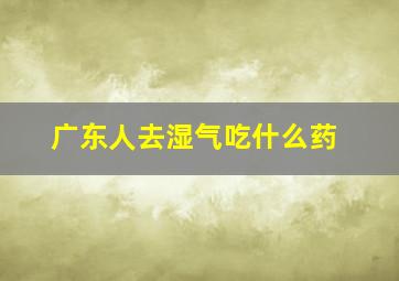 广东人去湿气吃什么药