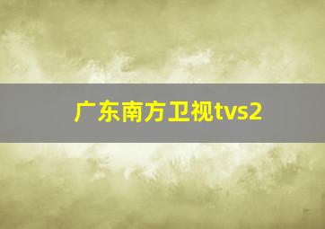 广东南方卫视tvs2