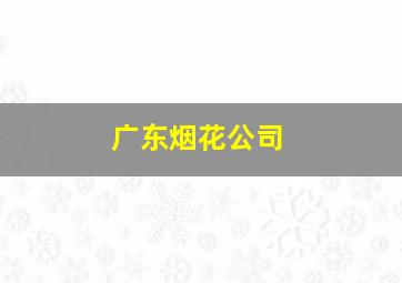 广东烟花公司