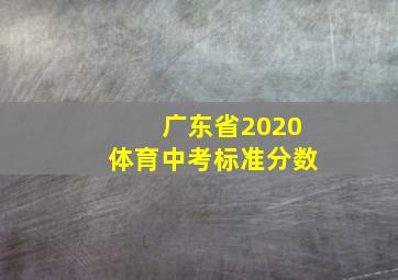 广东省2020体育中考标准分数