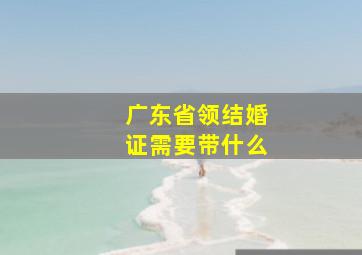 广东省领结婚证需要带什么