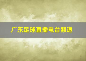 广东足球直播电台频道