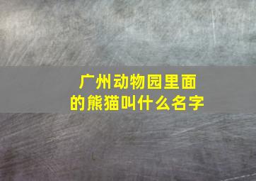 广州动物园里面的熊猫叫什么名字