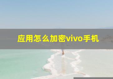 应用怎么加密vivo手机