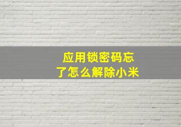 应用锁密码忘了怎么解除小米