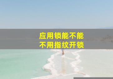 应用锁能不能不用指纹开锁