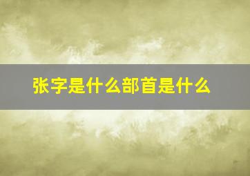 张字是什么部首是什么