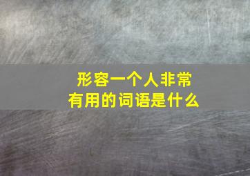 形容一个人非常有用的词语是什么