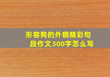 形容狗的外貌精彩句段作文300字怎么写