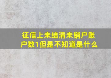 征信上未结清未销户账户数1但是不知道是什么