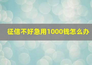 征信不好急用1000钱怎么办